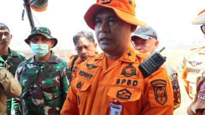 BPBD Kalsel Catat 2.083 Kejadian Karhutla, Luas Lahan Terdampak Capai 10.095,14 Hektare