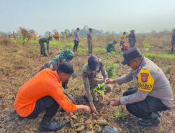 Sambut HUT ke-81 TNI, Kodim 1002/HST Gelar Gerakan Tanam Pohon