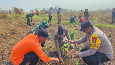 Sambut HUT ke-81 TNI, Kodim 1002/HST Gelar Gerakan Tanam Pohon