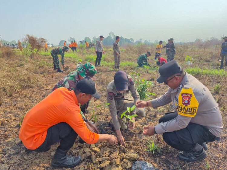 Sambut HUT ke-81 TNI, Kodim 1002/HST Gelar Gerakan Tanam Pohon