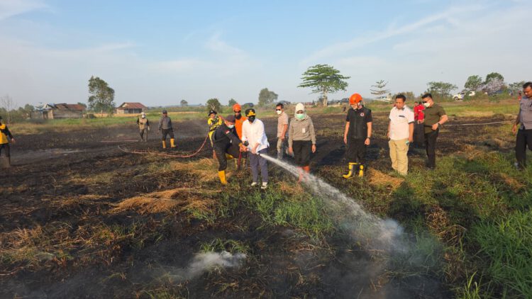Wagub Kalsel Hasnuryadi Tinjau Lahan Kahutla dan Turun Langsung Lakukan Pemadaman