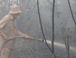 Gubernur Kalsel H. Muhidin Bersama Forkopimda Terjun Langsung Padamkan Karhutla, Kawasan RS Sambang Lihum Jadi Prioritas