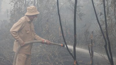 Gubernur Kalsel H. Muhidin Bersama Forkopimda Terjun Langsung Padamkan Karhutla, Kawasan RS Sambang Lihum Jadi Prioritas