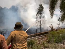 Tim Gabungan Padamkan Kebakaran Lahan di Sekitar Kantor DPRD Barito Kuala