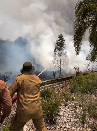 Tim Gabungan Padamkan Kebakaran Lahan di Sekitar Kantor DPRD Barito Kuala