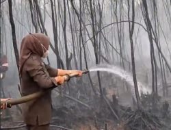 Ketua DPRD Batola Bersama Forkopimda Tinjau Penanganan Karhutla di Handil Bakti