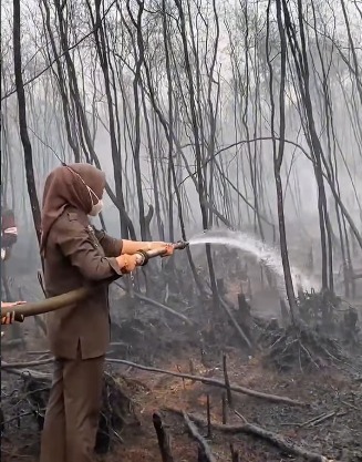 Ketua DPRD Batola Bersama Forkopimda Tinjau Penanganan Karhutla di Handil Bakti