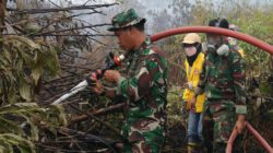 Sinergi TNI dan Mahasiswa, Karhutla di Area Gardu Induk PLN Sungai Tabuk Berhasil Dipadamkan