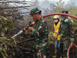 Sinergi TNI dan Mahasiswa, Karhutla di Area Gardu Induk PLN Sungai Tabuk Berhasil Dipadamkan