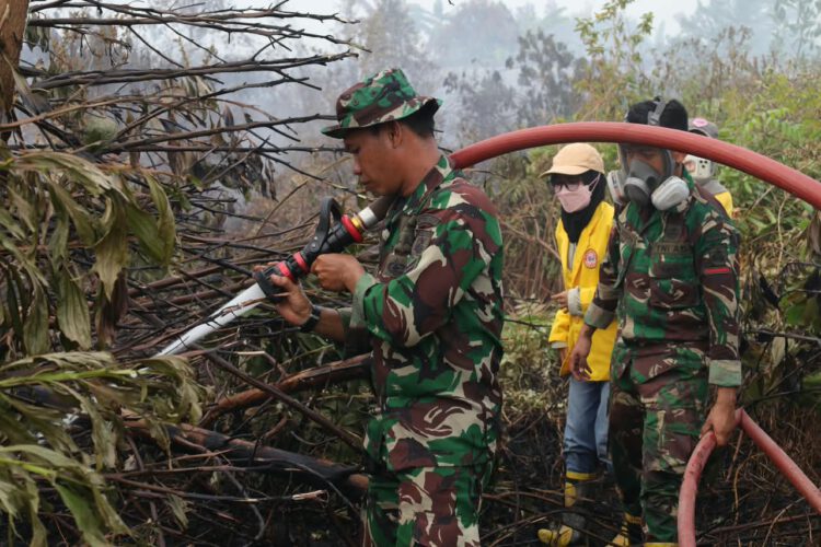 Sinergi TNI dan Mahasiswa, Karhutla di Area Gardu Induk PLN Sungai Tabuk Berhasil Dipadamkan