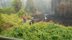 RSJ Sambang Lihum Tingkatkan Kewaspadaan, Personel Damkar RSJ, BPBD dan TNI Siap Hadapi Karhutla 24 Jam