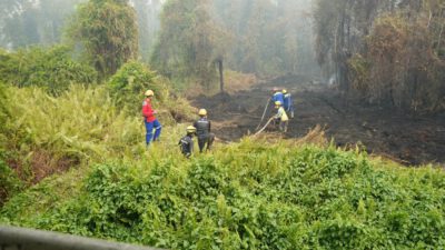 RSJ Sambang Lihum Tingkatkan Kewaspadaan, Personel Damkar RSJ, BPBD dan TNI Siap Hadapi Karhutla 24 Jam