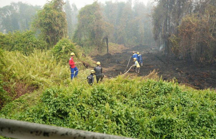 RSJ Sambang Lihum Tingkatkan Kewaspadaan, Personel Damkar RSJ, BPBD dan TNI Siap Hadapi Karhutla 24 Jam