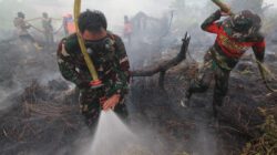 Tim Gabungan Gerak Cepat Tangani Karhutla di KM 17 Gambut, 3 Hektare Lahan Terbakar Padam