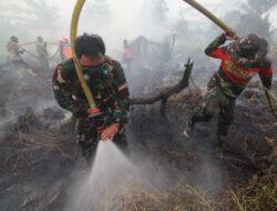 Tim Gabungan Gerak Cepat Tangani Karhutla di KM 17 Gambut, 3 Hektare Lahan Terbakar Padam