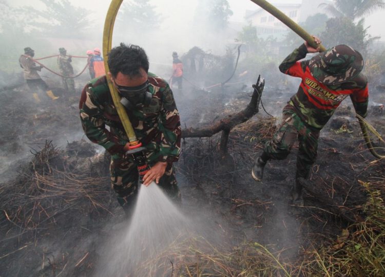 Tim Gabungan Gerak Cepat Tangani Karhutla di KM 17 Gambut, 3 Hektare Lahan Terbakar Padam