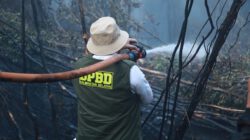 Turun Langsung Padamkan Api di Lahan Gambut, Gubernur H. Muhidin : Bara Api Lahan Gambut Jadi Perhatian Khusus