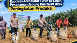 Kapolres Aceh Barat Turun ke Lahan, Penanaman Jagung Kuartal IV Bidik Peningkatan Produksi