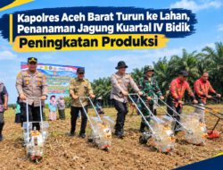 Kapolres Aceh Barat Turun ke Lahan, Penanaman Jagung Kuartal IV Bidik Peningkatan Produksi