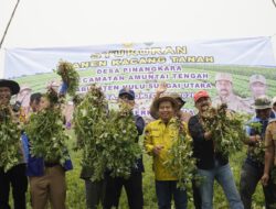 Panen Kacang Tanah di HSU, Pemprov Kalsel Dorong Peningkatan Produksi Pertanian
