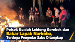 Polsek Kualuh Leidong Gerebek dan Bakar Lapak Narkoba, Terduga Pengedar Sabu Ditangkap
